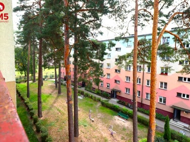 Mieszkanie Augustów sprzedaż