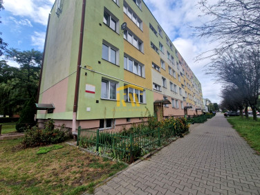 Mieszkanie Radom