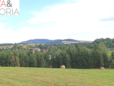 Działka budowlana Jabłów