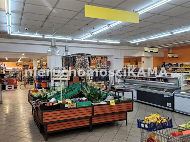 Budynek użytkowy Bielsko-Biała wynajem