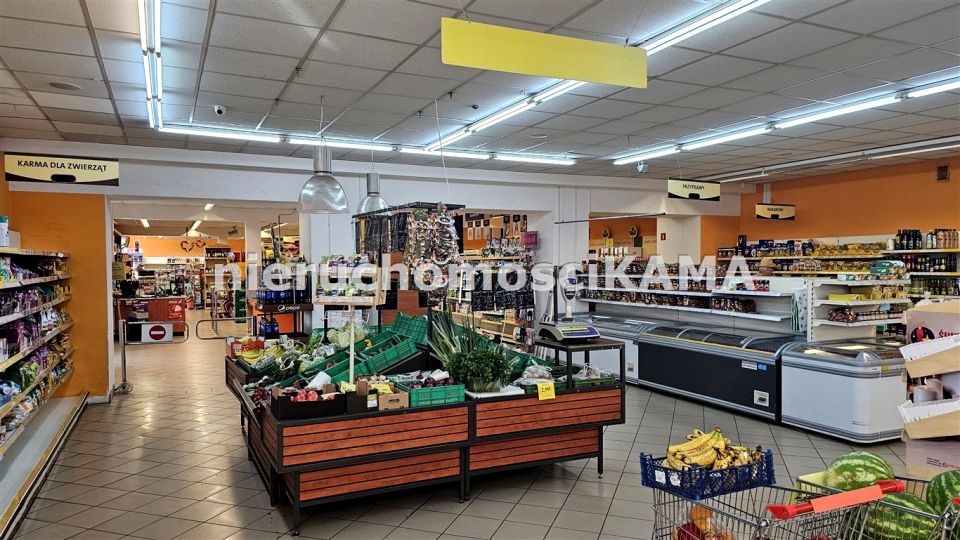 Budynek użytkowy Bielsko-Biała wynajem