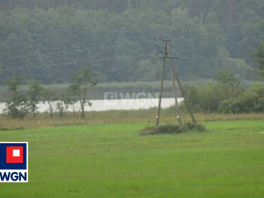 Działka leśna Koszelewki