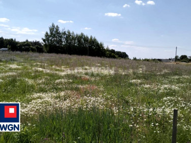 Działka budowlana Grzybno