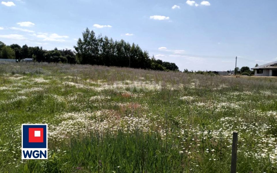 Działka budowlana Grzybno