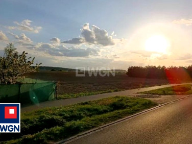Działka inwestycyjna Ostrowite
