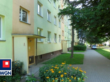 Mieszkanie Brodnica