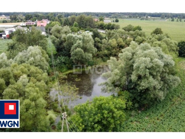 Działka siedliskowa Drużyny