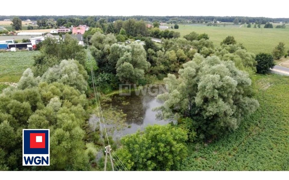 Działka siedliskowa Drużyny