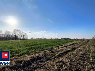 Działka budowlana Rypin