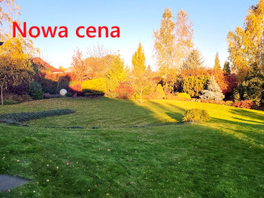 Działka przy lesie