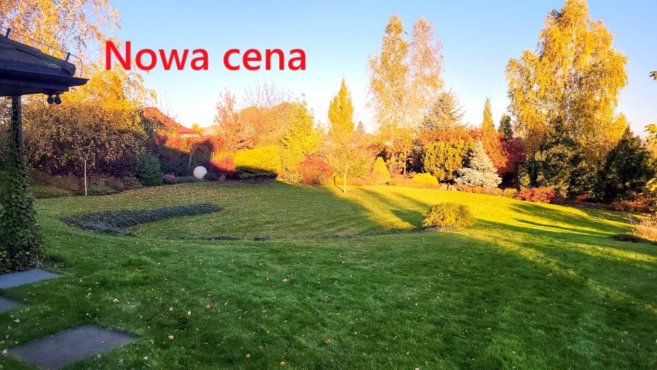 Działka przy lesie