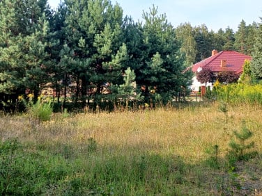Działka budowlana Wójtowo sprzedam