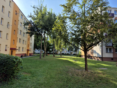 Mieszkanie Gostynin