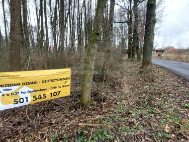 Działka leśna Dzietrzychowice