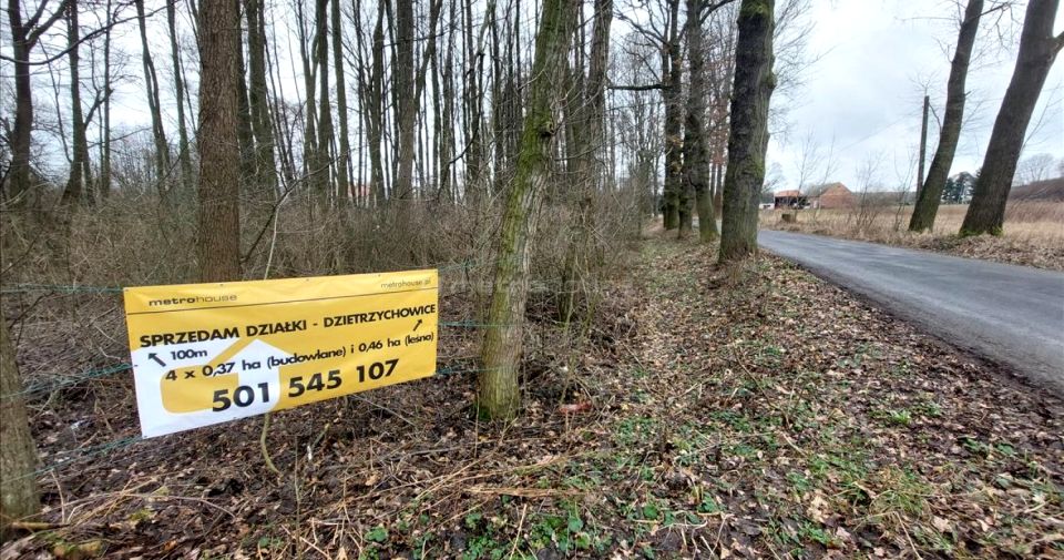 Działka leśna Dzietrzychowice