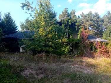 Dom Osłonin