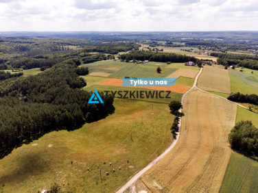 Działka siedliskowa Milwino