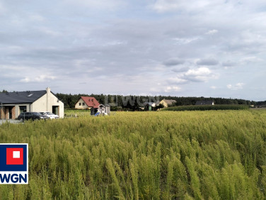 Działka budowlana Lisak sprzedam