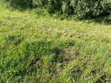 Działka Jastrzębia Góra