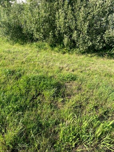 Działka Jastrzębia Góra