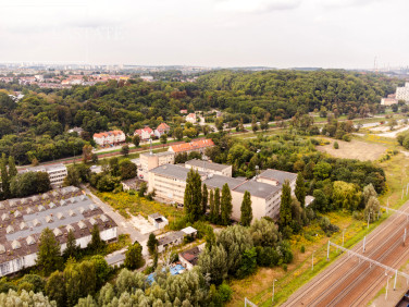 Lokal Gdańsk