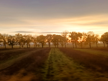 Działka budowlana Koniówka
