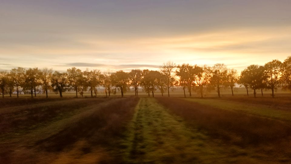 Działka budowlana Koniówka
