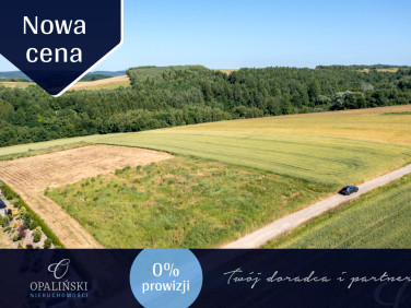 Działka inna Wolica