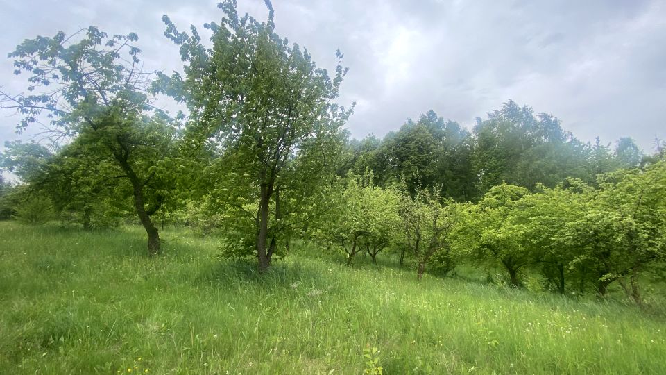 Działka budowlana Woźniki