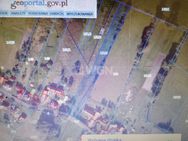 Działka siedliskowa Wysoka