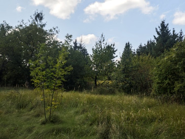 Działka budowlana Nowe Grochale