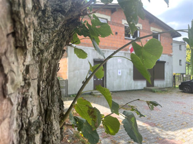 Lokal Mikołów