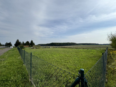 Ogrodzona działka Poznań