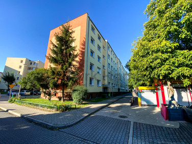 Mieszkanie Sulechów