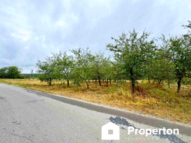 Działka Kazimierz Dolny