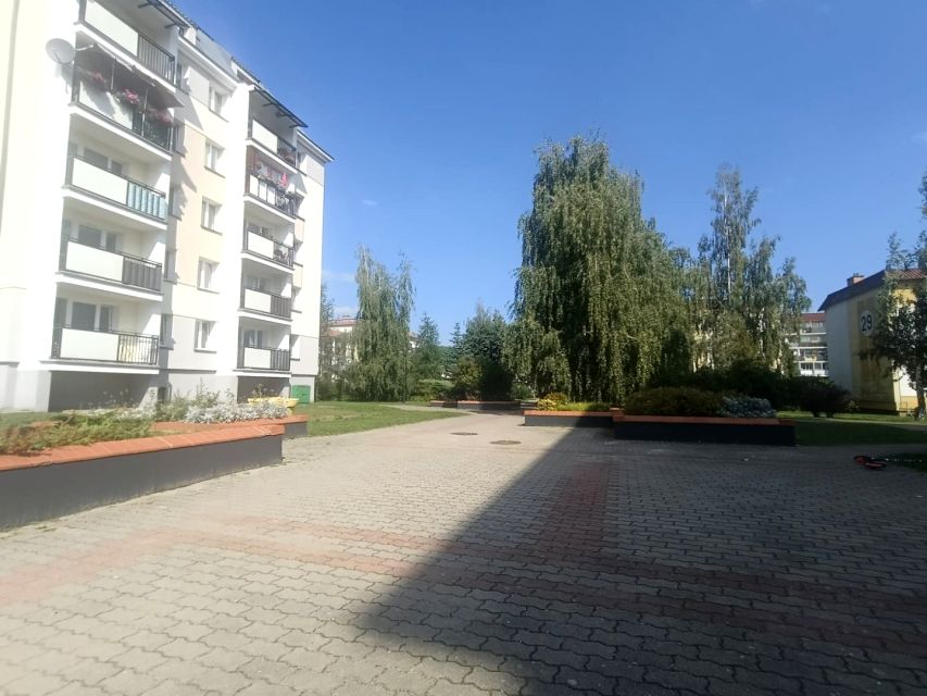 Zdjęcie 2