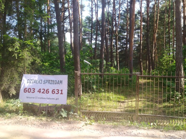 Działka Kuby-Młyny