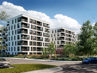 Strzelców 28