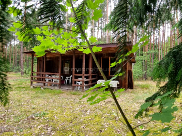 Działka rekreacyjna Mierzwice-Kolonia