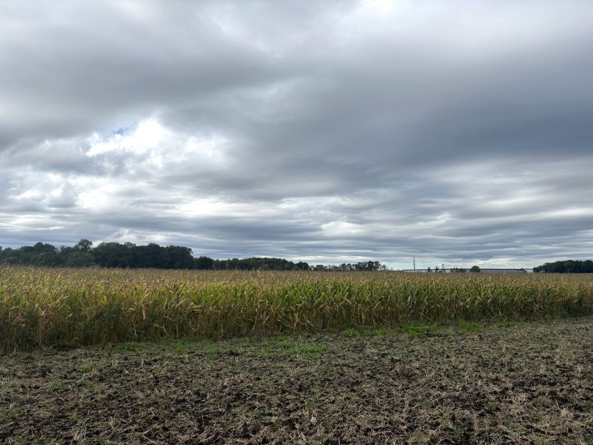 Działka rolna Tyniec Mały
