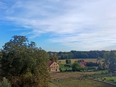 Mieszkanie Chojnów