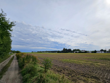 Działka inna sprzedam