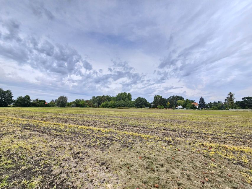 Działka inna Poznań