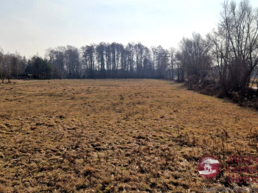 Działka budowlana Wilków Polski