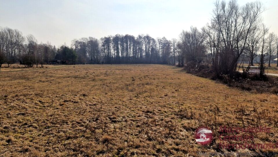 Działka budowlana Wilków Polski