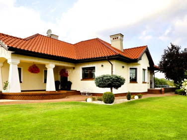 Dom Kranów