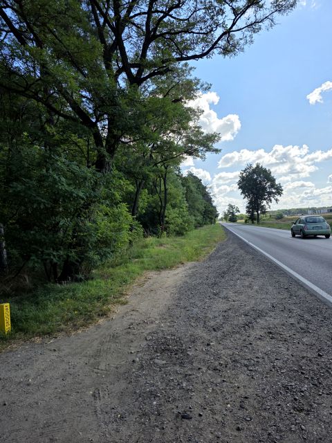 Działka leśna Gliśnica