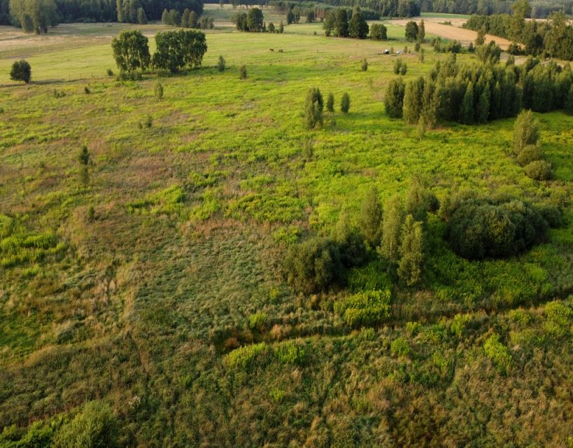 Zdjęcie 3