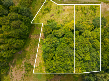 Zalesiona działka Trzepowo