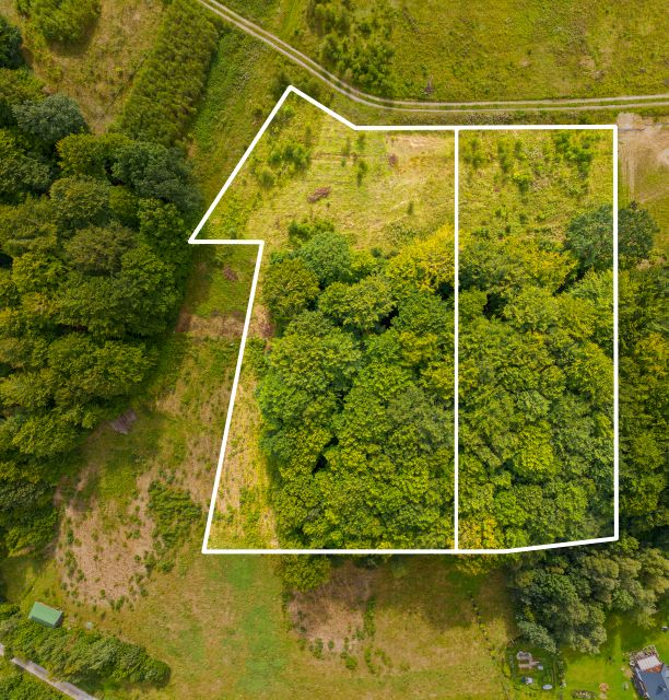 Zalesiona działka Trzepowo